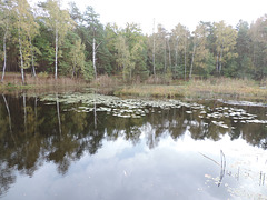 Am Schwarzen Luch in Sperenberg