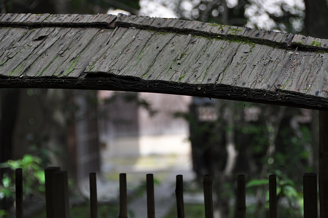 détail petite porte, Daisen-in