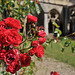 Dans le cloître de l'abbaye de Noirlac