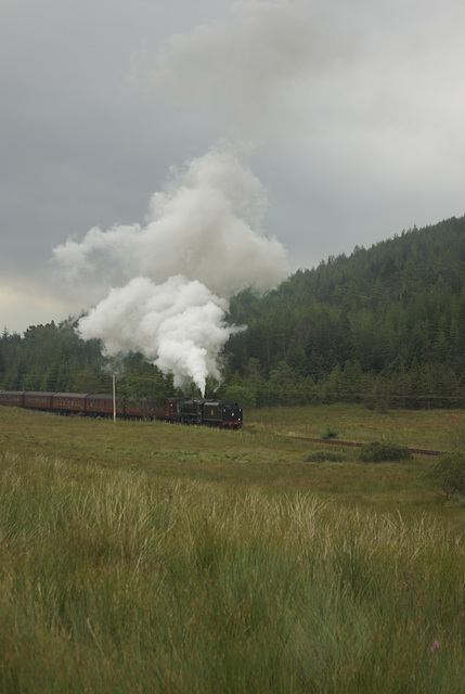 45407 The Lancashire Fusillier