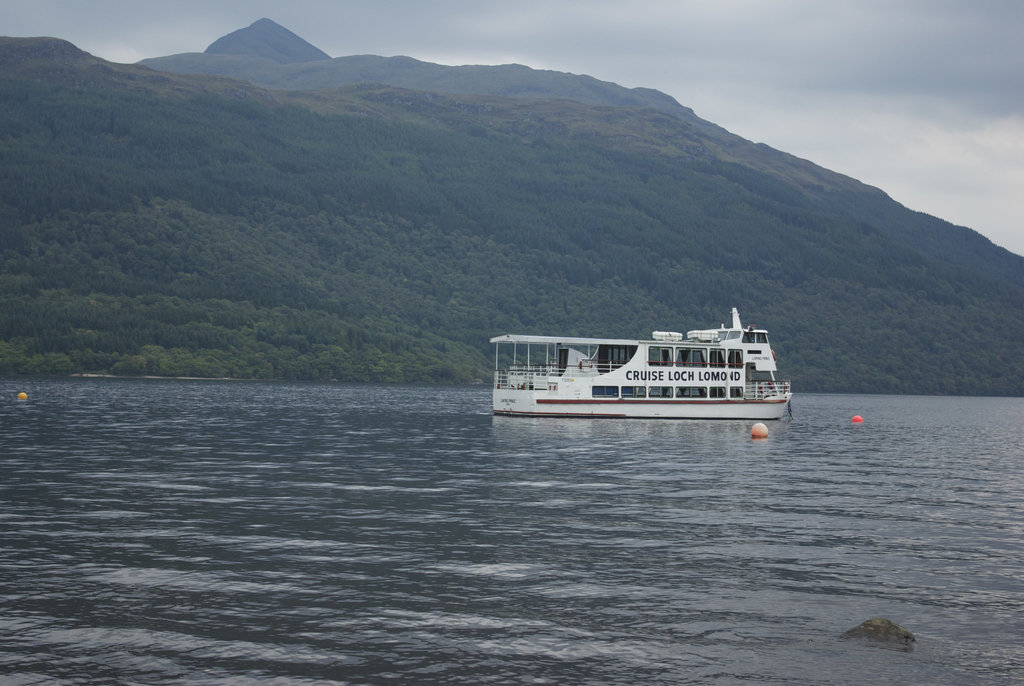 IMGP6403