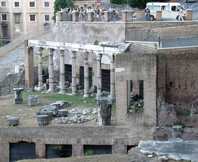 Porticus of the Consenting Gods in the Forum Romanum, June 2013