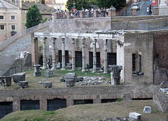 Porticus of the Consenting Gods in the Forum Romanum, June 2013