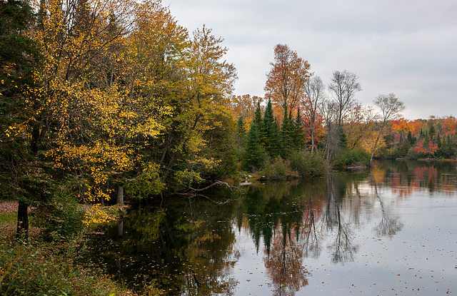 Haliburton