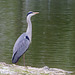 Parc aux oiseaux Villars les Dombes