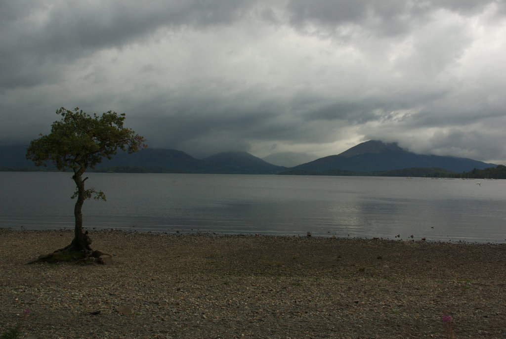 01-IMGP6557