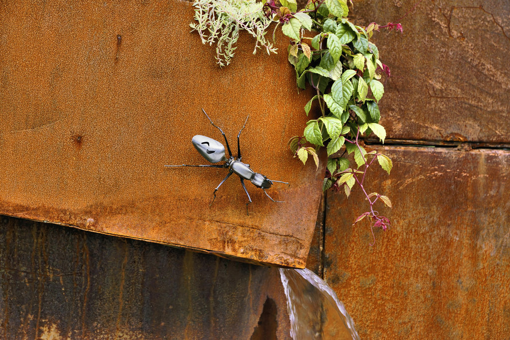 A Metallic Ant –  Le jardin de verre et de métal, Botanical Garden, Montréal, Québec