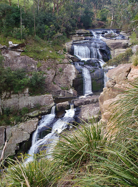 Agnes Falls in the spring