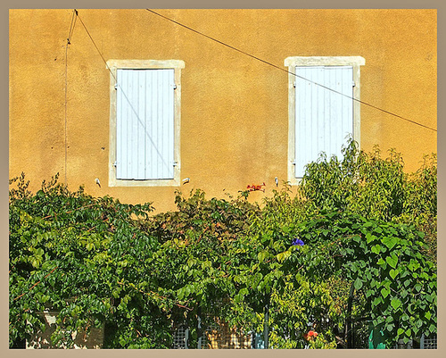 ipernity: Bédoin Provence - by La-Gioconda( Cornelia )