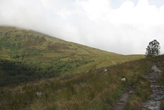 30-IMGP6586