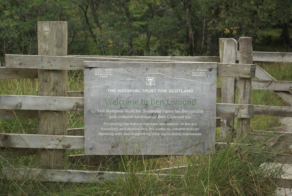 33-IMGP6589