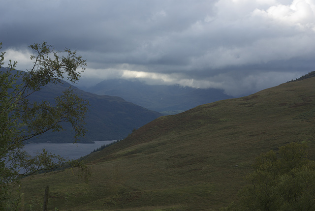 35-IMGP6591