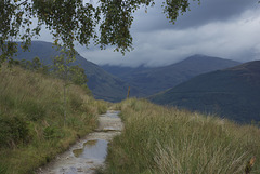 36-IMGP6592
