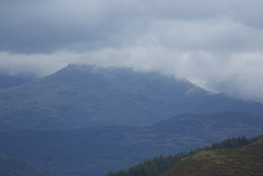 37-IMGP6593