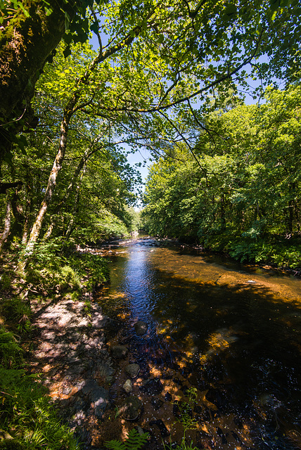 River Dart - 20140810