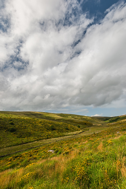 Dartmoor - 20140811