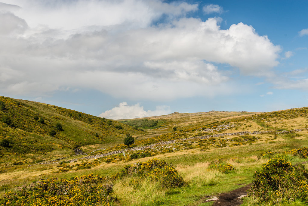 Dartmoor - 20140811