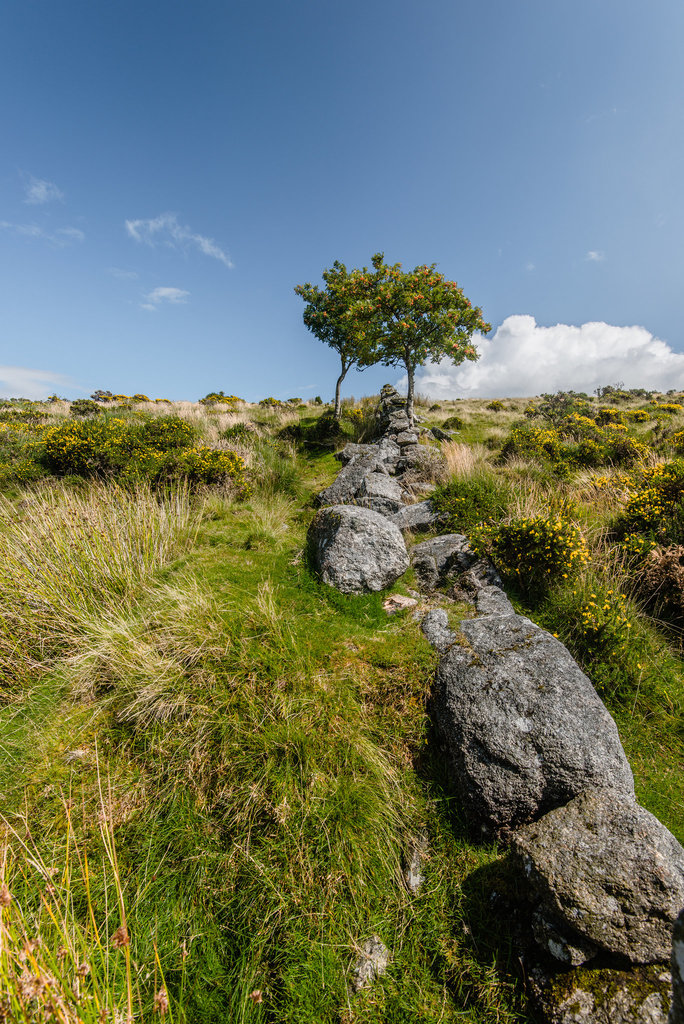 Dartmoor - 20140811