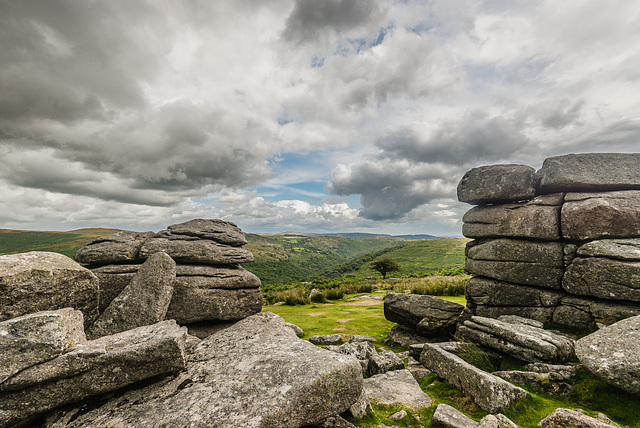 Dartmoor - 20140811