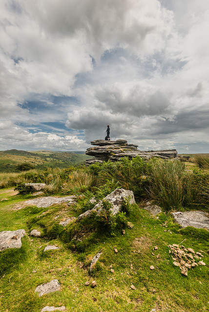 Dartmoor - 20140811