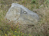 Tout Quarry (2) - 1 September 2014