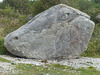 Tout Quarry (4) - 1 September 2014