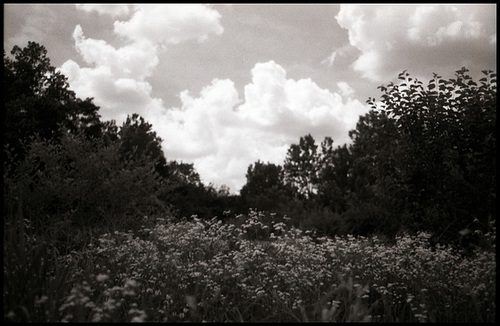 Stamm Park