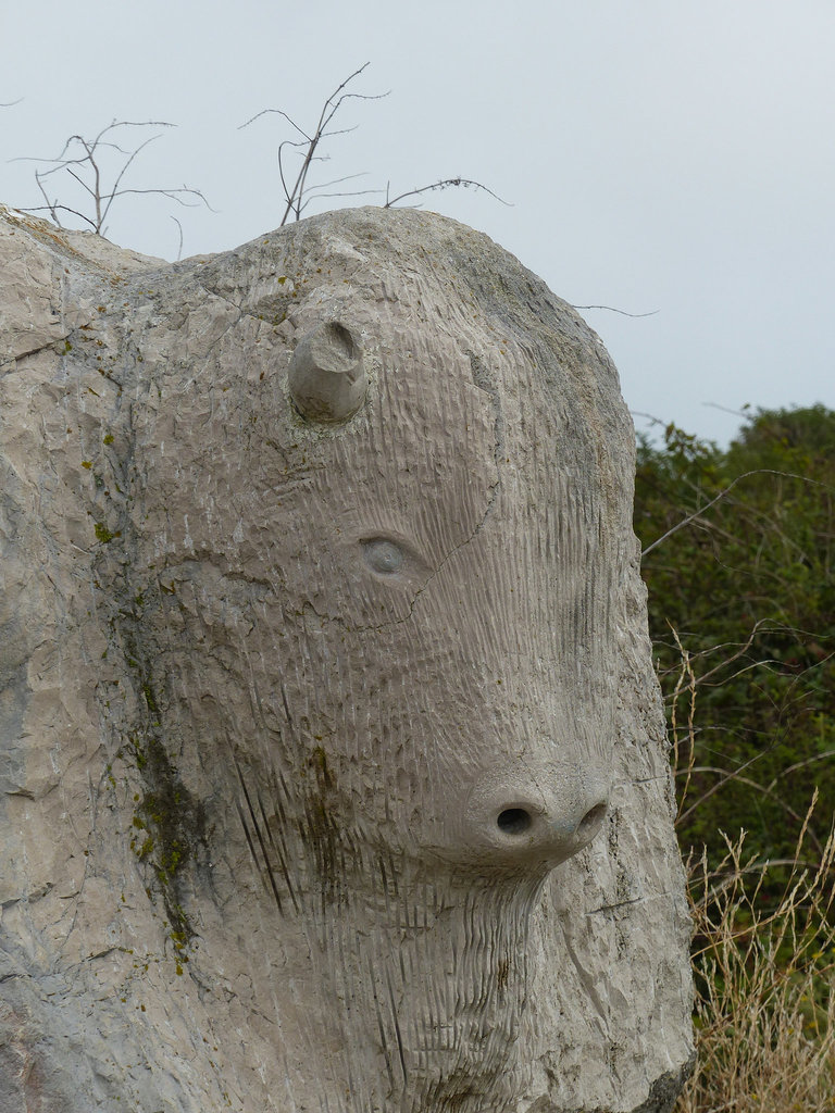 Tout Quarry (8) - 1 September 2014