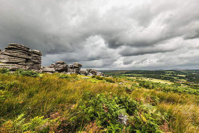 Dartmoor - 20140811