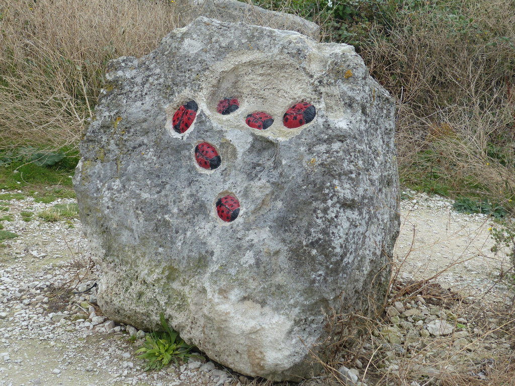 Tout Quarry (11) - 1 September 2014