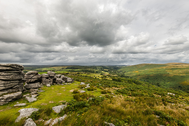 Dartmoor - 20140811