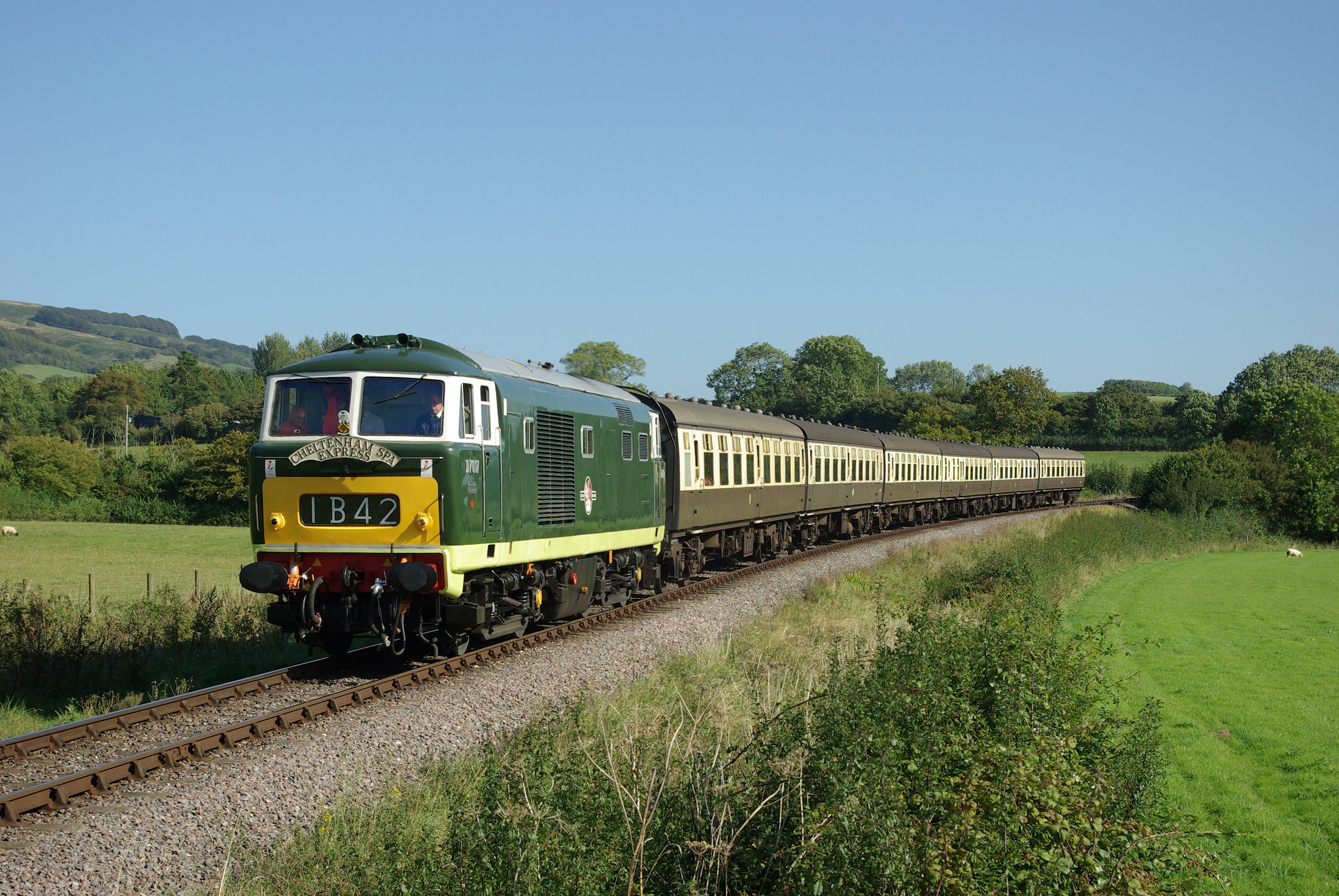 'WSR' - 'Hymek' D7017 - 31.8.14.