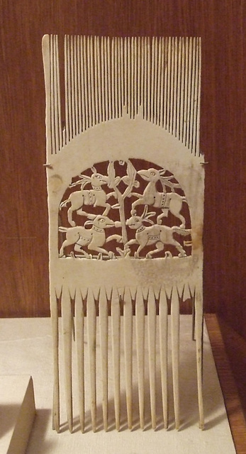 Liturgical Comb in the Cloisters, April 2012