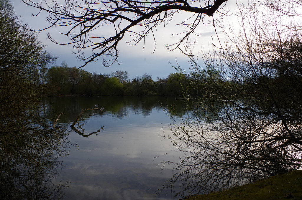 Parc aux oiseaux - Villars les Dombes