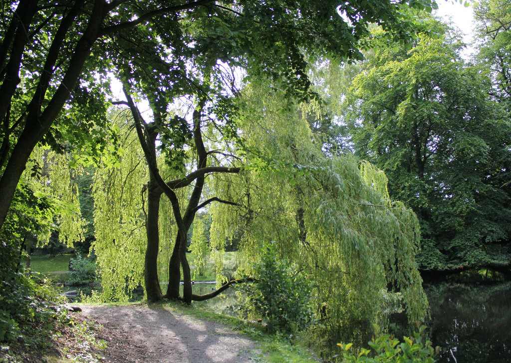 Park Schloß Ritzebüttel