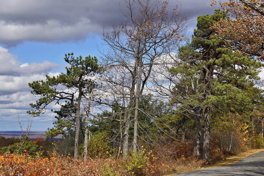 A Wuthering Height – High Point State Park, Sussex County, New Jersey