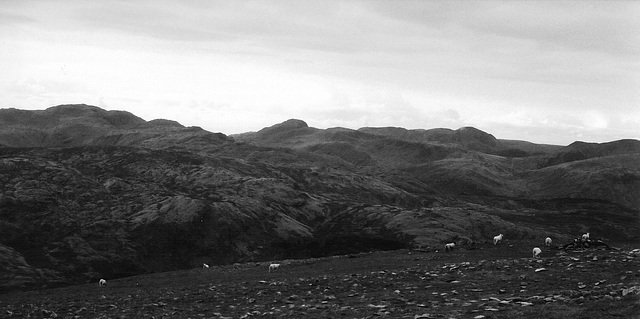 Helvellyn view SW