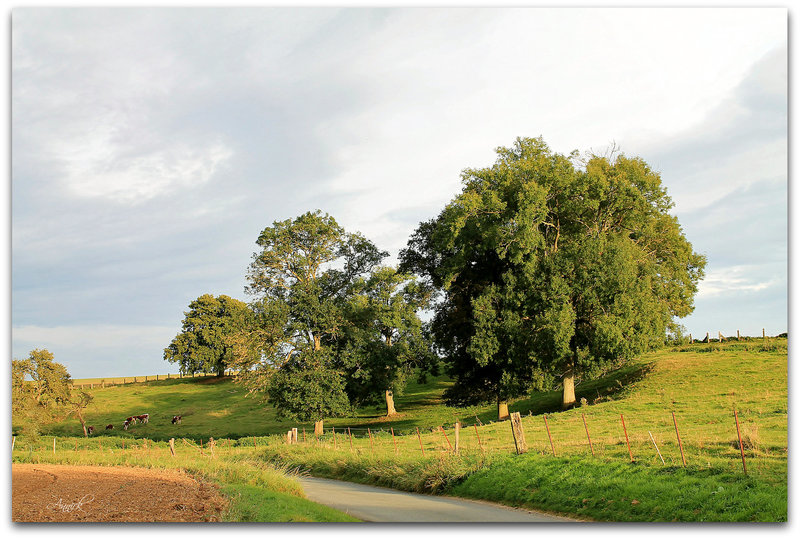 La Campagne bucolique