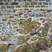 Saint-Malo 2014 – Fort National – Blending of natural rocks and stones