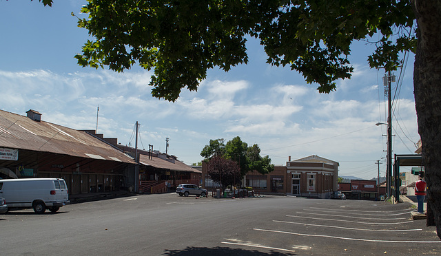 Newcastle, CA Fruit Row  (0268)