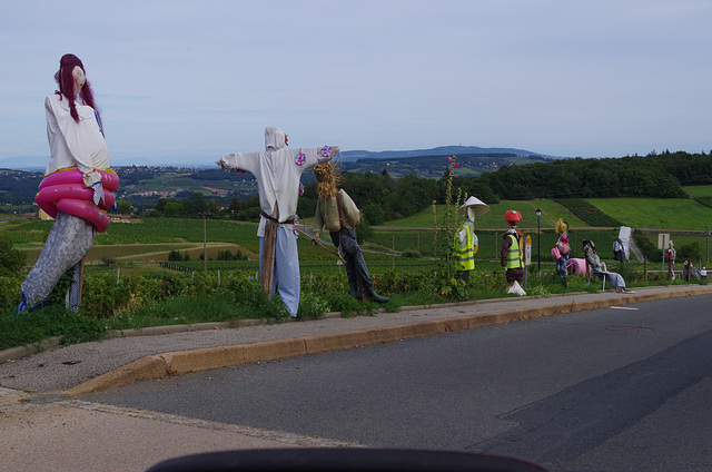 Moiré - Beaujolais