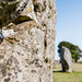 Avebury - 20140806