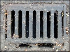 Broads drain cover