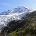 Mount Baker and Coleman Glacier