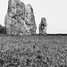 Avebury - 20140806