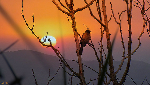Bonne semaine/Happy Week.