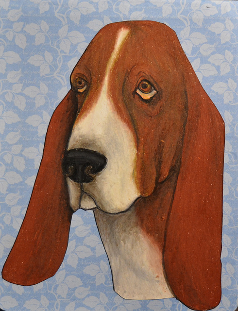 Basset