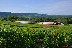 Fantôme dans les vignes