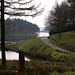 Kings Tree end of Howden Reservoir