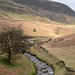 Folllowing the Derwent past Slippery Stones